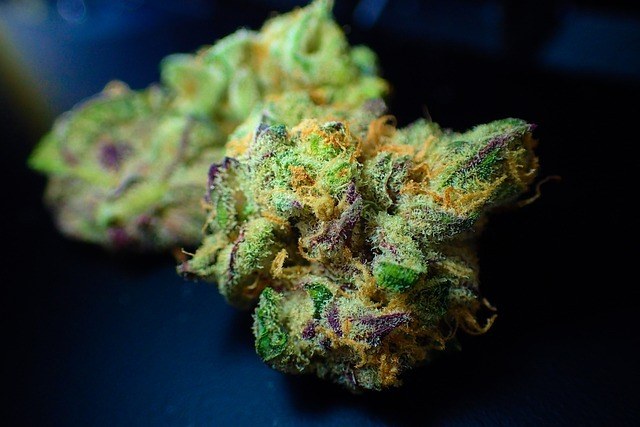 Colorful Buds